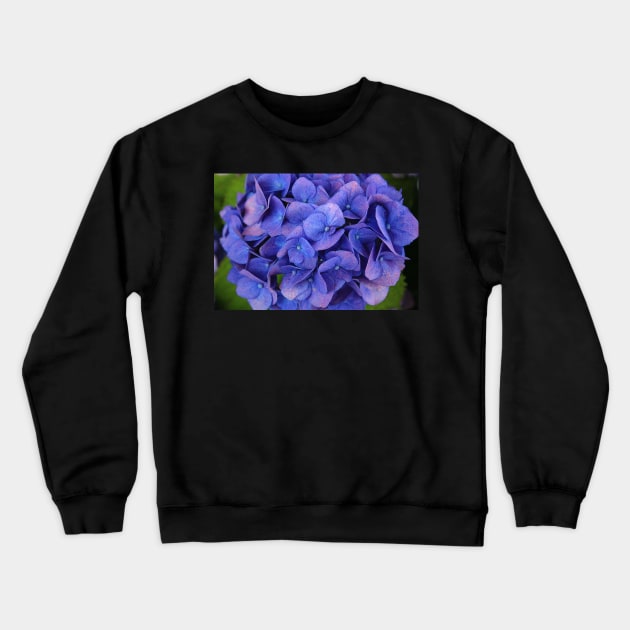 Blue hydrangea Crewneck Sweatshirt by SteffaniLehmann